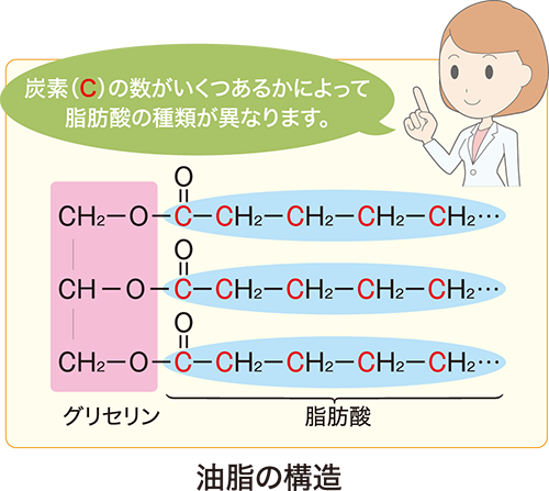 PFCパウダーのMTCの説明