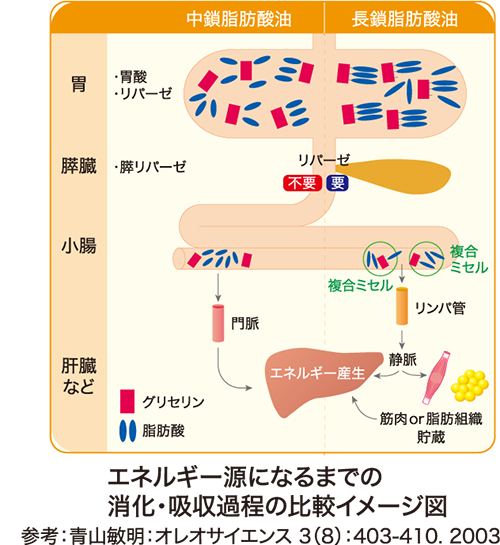 PFCパウダーのMCTの説明