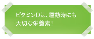 サルコファイバーのビタミンD配合の画像