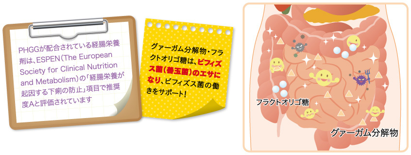 サルコファイバーのPHGGとフラクトオリゴ糖配合のイラスト