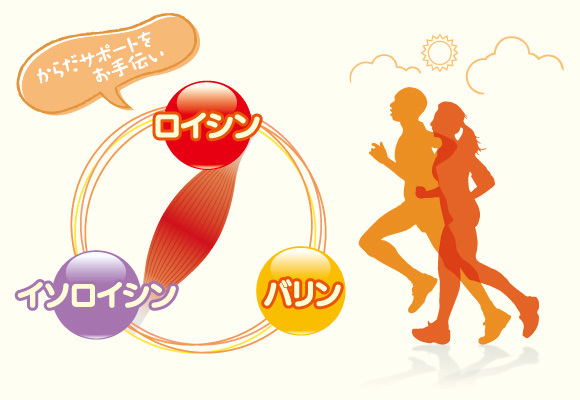 サルコファイバーのBCAA配合のイラスト