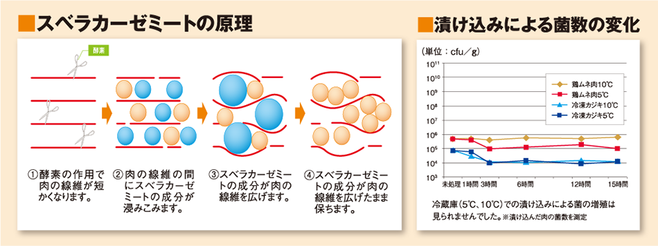 スベラカーゼの原理