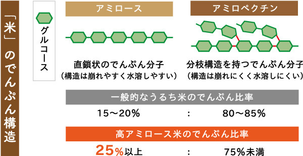 米のでんぷん構造