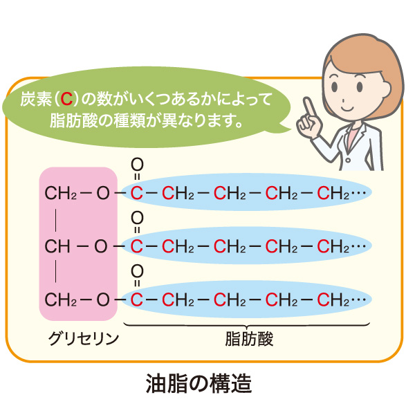 PFCパウダーの特徴1