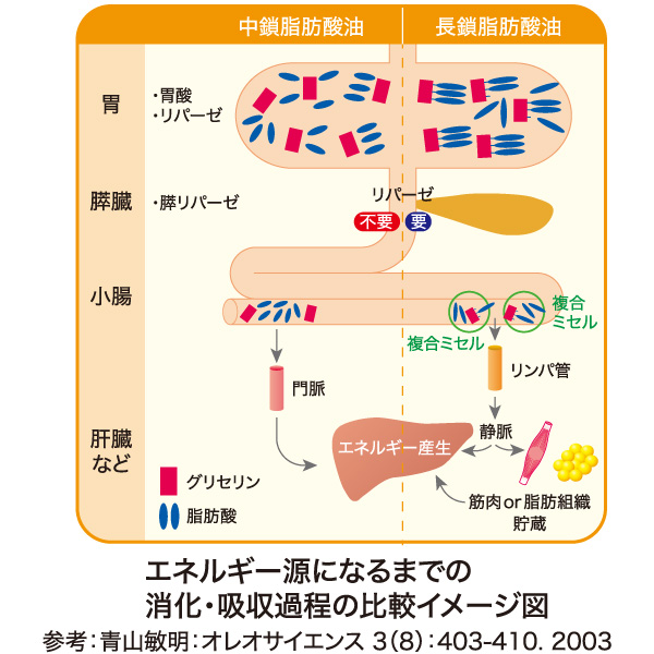 PFCパウダーの特徴2