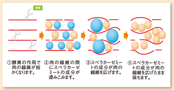 スベラカーゼミートの原理