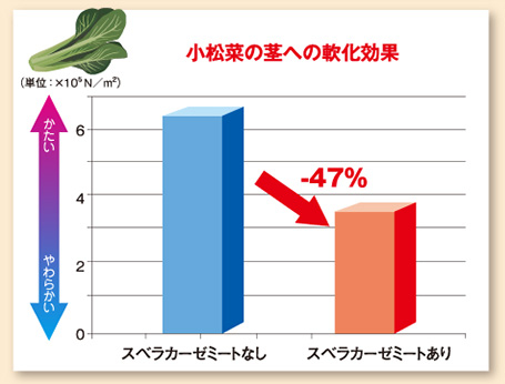 スベラカーゼミートの効果4