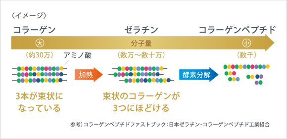 エプリッチすいすいパウチゼリーのコラーゲンペプチドの説明