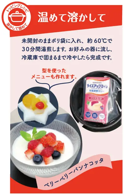 MORIYAMAライズアップミール 栄養調整ゼリー | 介護食品メーカー株式